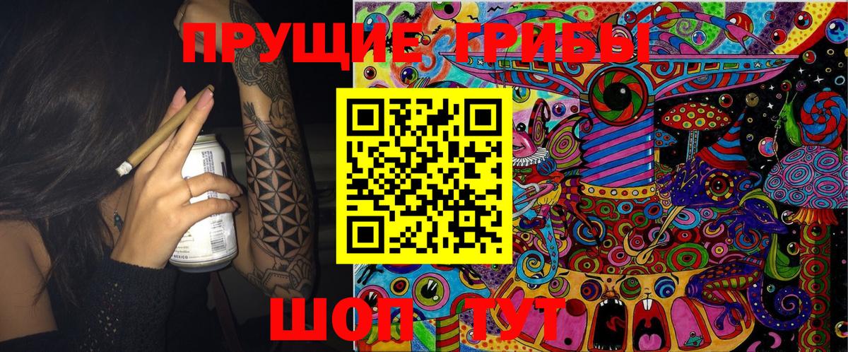 Галлюциногенные грибы Psilocybe  Вход с VPN  даркнет сайт  Псилоцибиновые грибы ЛСД  Славянск-на-Кубани 
